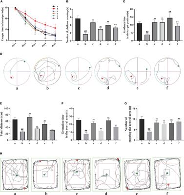 Intestinal flora study reveals the mechanism of Danggui Shaoyao San and its decomposed recipes to improve cognitive dysfunction in the rat model of Alzheimer’s disease